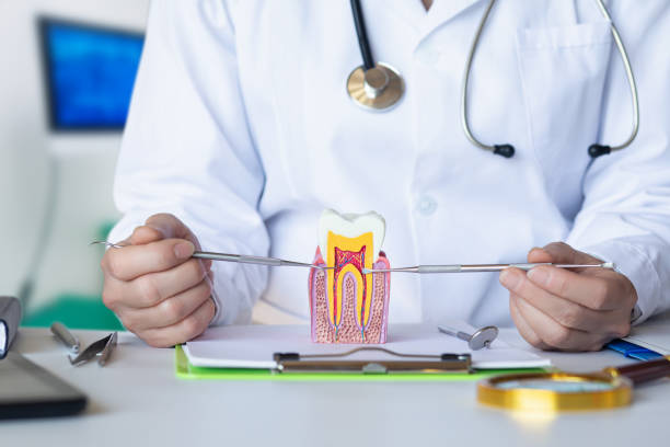 Best Urgent Dental Care for Toothache in Indian Head Park, IL